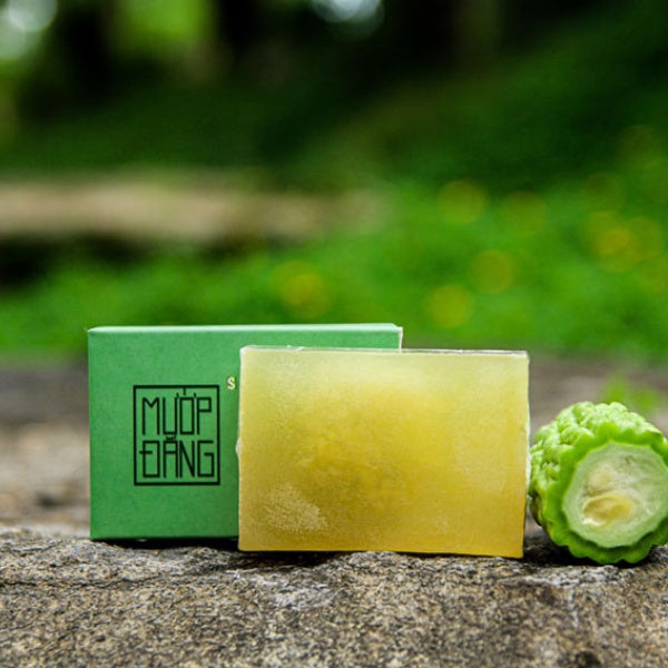 Bitter melon soap