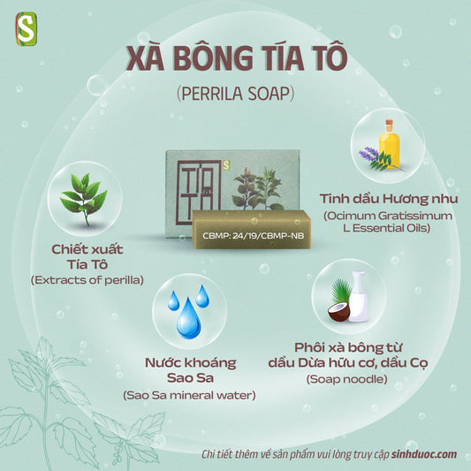 Herbal Soap Combo – Perilla Soap & Loofah Lemongrass Soap (2 Bars)