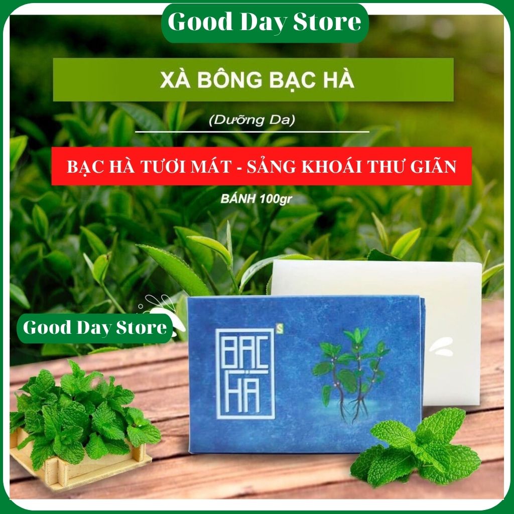 Natural Mint Soap & Honey Locust Soap (2 Bars)