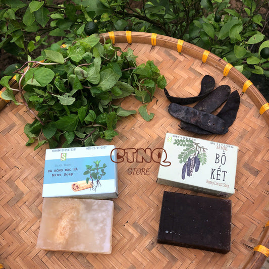 Natural Mint Soap & Honey Locust Soap (2 Bars)