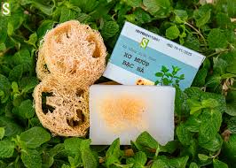 Natural Mint Soap & Honey Locust Soap (2 Bars)